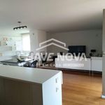 Rent 3 bedroom apartment of 228 m² in Campanhã