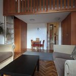 Rent 1 bedroom apartment of 29 m² in Budapest