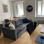 Rent 2 bedroom apartment of 36 m² in Albi