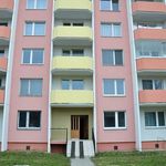 Rent 1 bedroom apartment of 32 m² in Břeclav