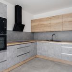 Rent 1 bedroom house of 120 m² in Plzeň