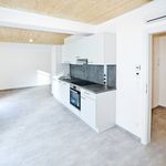 Rent 2 bedroom house of 56 m² in Wien