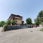 Affitto 4 camera appartamento di 134 m² in Pavia