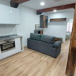 Rent 2 bedroom apartment of 60 m² in Bilbo