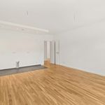 Rent 5 bedroom apartment of 137 m² in Rochlitz