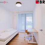 Rent 3 bedroom apartment of 71 m² in Brno