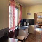 Rent 2 bedroom apartment of 57 m² in Brno