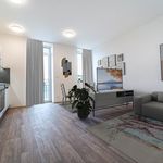 Pronajměte si 1 ložnic/e byt o rozloze 25 m² v Mikulov