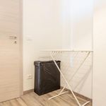 Rent 2 bedroom apartment in Livorno