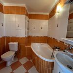 Rent 1 bedroom apartment of 42 m² in Klimkovice