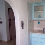 Rent 1 bedroom apartment in Frosinone