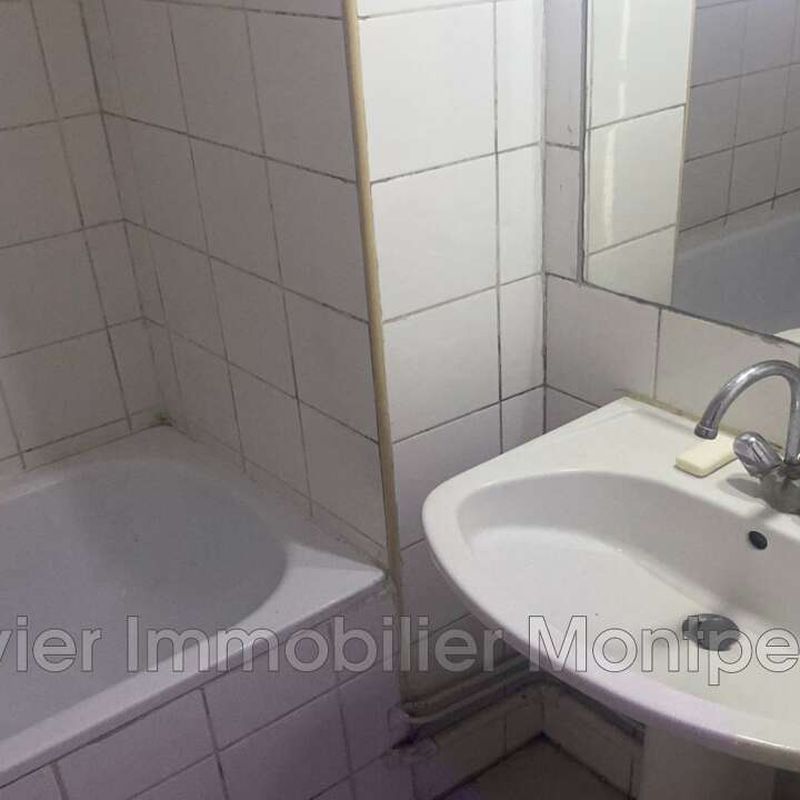 Location appartement 1 pièce 19 m² Montpellier (34000) Castelnau-le-Lez