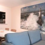 Rent 2 bedroom apartment in Leinster