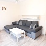 Rent 3 bedroom apartment of 53 m² in Łódź