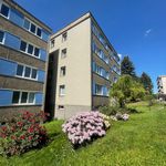 Rent 1 bedroom apartment of 29 m² in Liberec