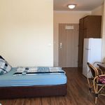 Rent 1 bedroom apartment of 20 m² in Radebeul