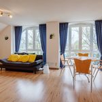 Rent 1 bedroom apartment of 43 m² in München