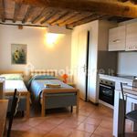 Rent 1 bedroom apartment of 28 m² in Siena