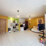 Rent 1 bedroom apartment in Soignies