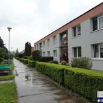 Rent 1 bedroom apartment of 28 m² in Zlín