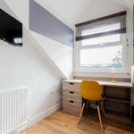Rent 6 bedroom house in Kirklees