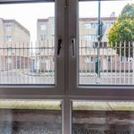 Rent a room of 55 m² in Dublin