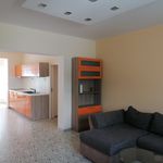 Rent 1 bedroom apartment in Uherské Hradiště