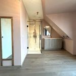 Rent 1 bedroom apartment of 52 m² in Mol