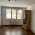 Rent 1 bedroom apartment of 41 m² in Jindřichův Hradec