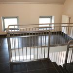 Rent 4 bedroom apartment of 290 m² in Gooik