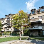 Rent 2 bedroom apartment of 76 m² in Fribourg