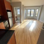 Rent 1 bedroom apartment of 450 m² in Chicago