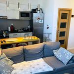 Rent 1 bedroom apartment of 30 m² in Město Albrechtice