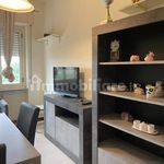 Rent 4 bedroom apartment of 75 m² in Viterbo