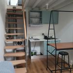 Rent 1 bedroom apartment of 24 m² in Toulouse
