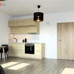 Rent 1 bedroom apartment of 36 m² in Svitavy