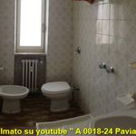 Rent 1 bedroom apartment of 40 m² in Pavia