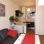Rent 2 bedroom apartment of 51 m² in Pruszków