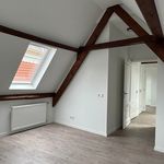 Rent 4 bedroom apartment of 131 m² in Binnenstad centrum