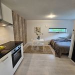 Rent 1 bedroom house of 30 m² in Tullinge