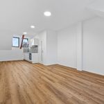 Rent 2 bedroom apartment of 30 m² in Liberec