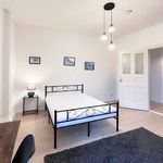 Miete 1 Schlafzimmer studentenwohnung von 20 m² in Berlin