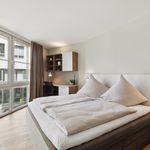 Rent 1 bedroom apartment of 36 m² in Bonn