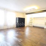 Rent 3 bedroom apartment of 110 m² in Thiene