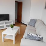 Rent 2 bedroom apartment of 52 m² in Cájar