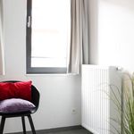 Rent 1 bedroom apartment in Tournai
