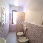 Rent 2 bedroom apartment of 50 m² in Ameglia