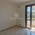 Rent 3 bedroom apartment of 54 m² in Galatina