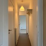Rent 2 bedroom apartment of 82 m² in Olen