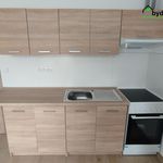 Rent 2 bedroom apartment of 39 m² in Dnešice